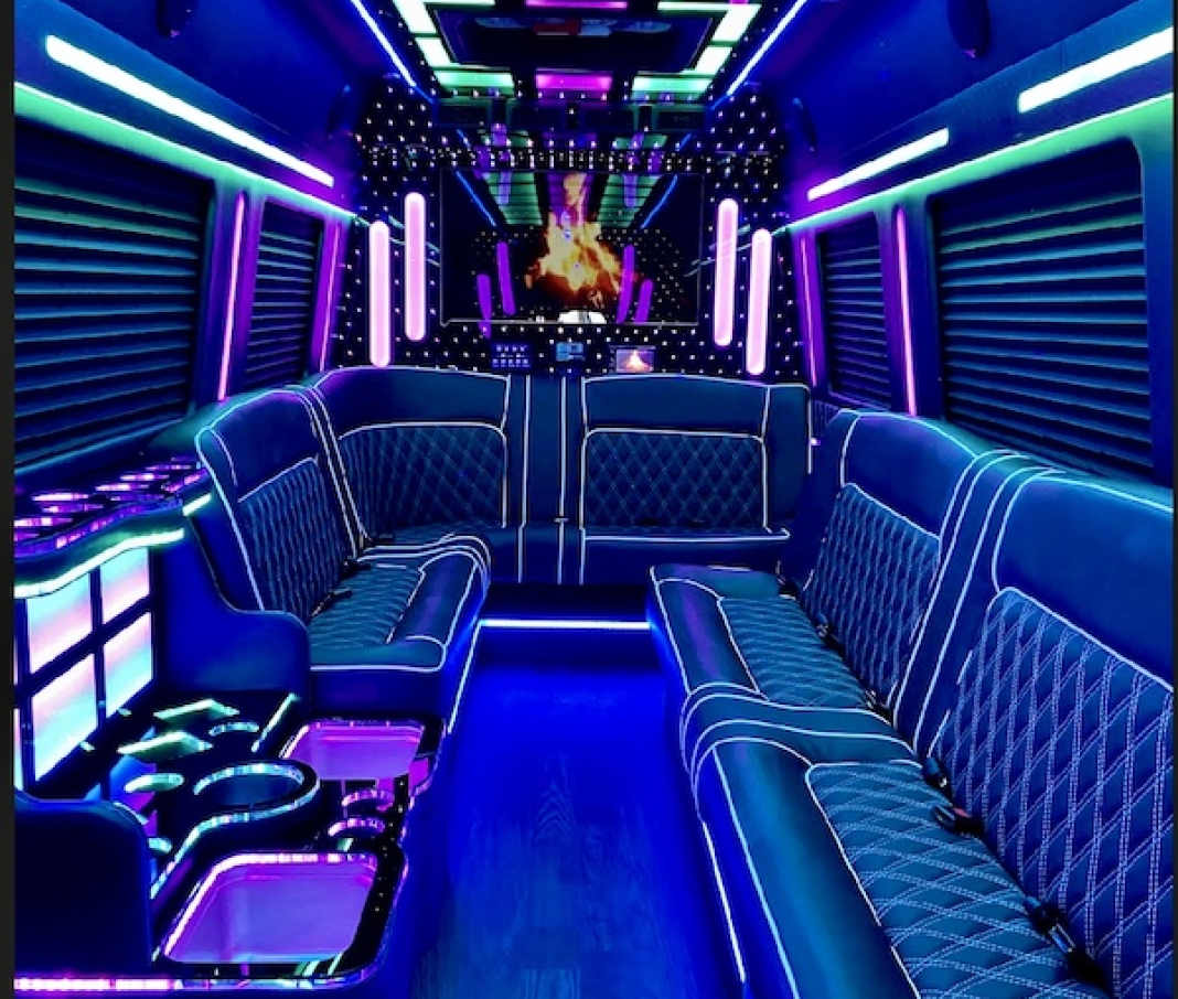Party Van Rental & Sprinter Limousine Service 5 - 14 Passenger